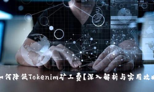 如何降低Tokenim矿工费？深入解析与实用攻略