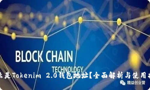什么是Tokenim 2.0钱包地址？全面解析与使用指南