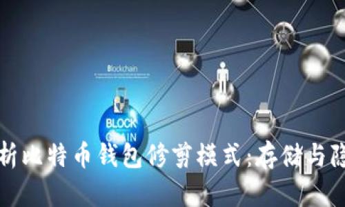 深入解析比特币钱包修剪模式：存储与隐私保护