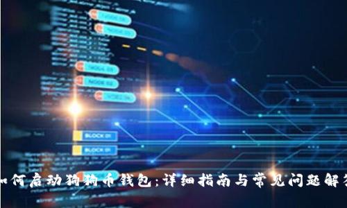 如何启动狗狗币钱包：详细指南与常见问题解答