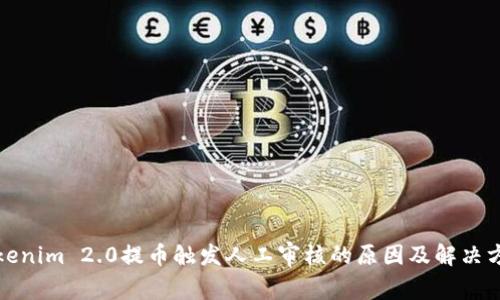Tokenim 2.0提币触发人工审核的原因及解决方法