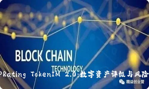 全面解析DPRating TokenIM 2.0：数字资产评级与风险管理的未来