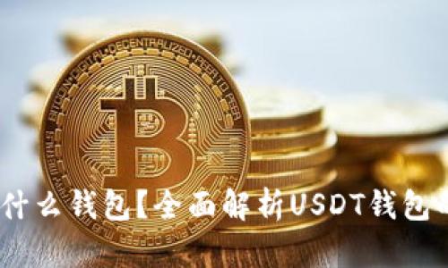 USDT可以放什么钱包？全面解析USDT钱包的选择与使用