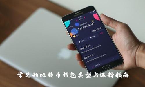 常见的比特币钱包类型与选择指南