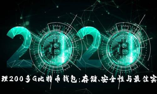 如何管理200多G比特币钱包：存储、安全性与最佳实践指南