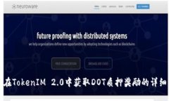 如何在TokenIM 2.0中获取DO
