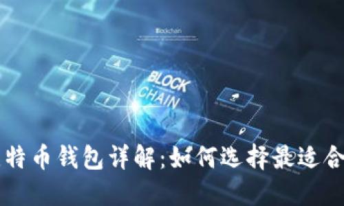 不同类型的比特币钱包详解：如何选择最适合你的钱包类型