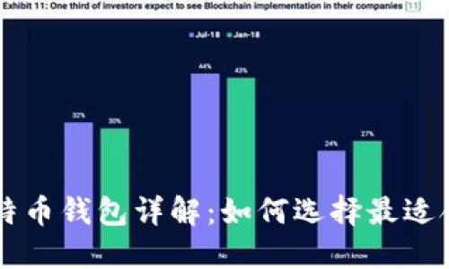 不同类型的比特币钱包详解：如何选择最适合你的钱包类型