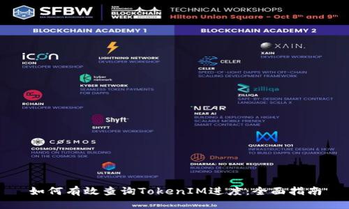 如何有效查询TokenIM进度：全面指南