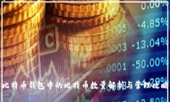 比特币钱包中的比特币数