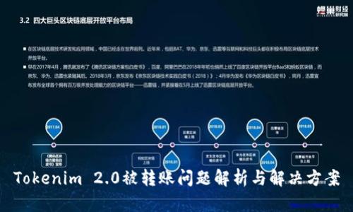 Tokenim 2.0被转账问题解析与解决方案