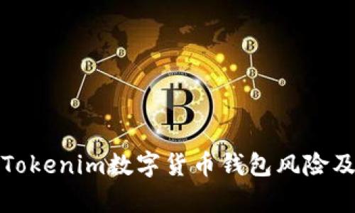 深入分析Tokenim数字货币钱包风险及防范策略