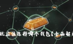 USDT提现应该选择哪个钱包