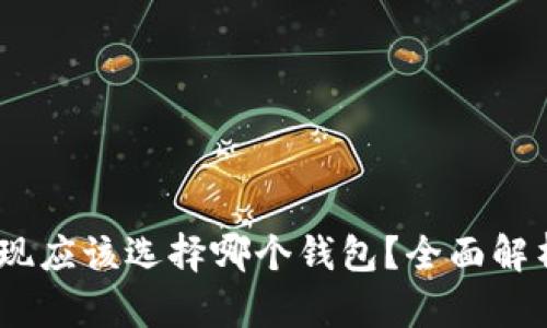 USDT提现应该选择哪个钱包？全面解析与推荐
