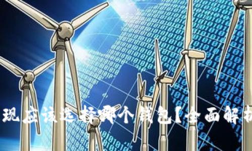USDT提现应该选择哪个钱包？全面解析与推荐