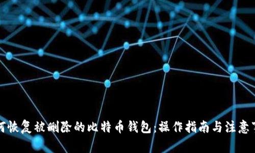 如何恢复被删除的比特币钱包：操作指南与注意事项