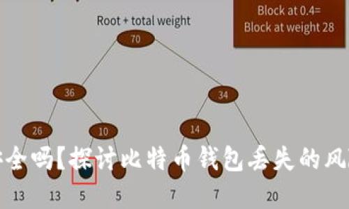 比特币钱包安全吗？探讨比特币钱包丢失的风险及防范措施