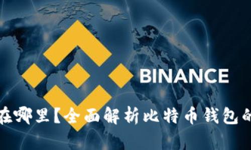 比特币存放在哪里？全面解析比特币钱包的种类与选择