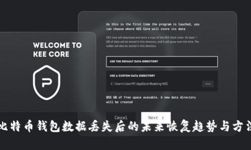 比特币钱包数据丢失后的未来恢复趋势与方法