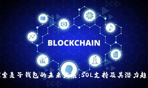 探索麦子钱包的未来发展：SOL支持及其潜力趋势